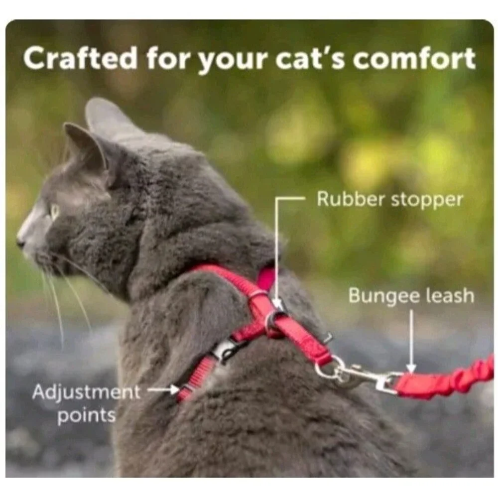 *PET SAFE* 